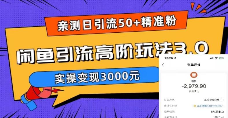亲测日引50+精准粉，闲鱼引流高阶玩法3.0，实操变现3000元【揭秘】-开心分享网