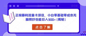正规暴利流量卡项目,小白零基础零成本无脑照抄也能日入300+【揭秘】-开心分享网