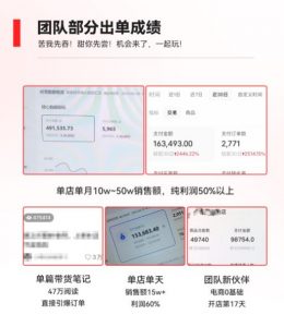 2023小红书电商火爆全网,新晋红利,风口项目,单店收益在3000-30000!-开心分享网