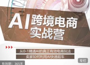 白龙老师·AI跨境电商实战营:从0-1精通Al的真正有效电商玩法,卖家如何利用Al快速超车-开心分享网