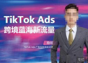 稳哥·如何投出高ROI的TikTok广告,开拓独立站卖家流量新蓝海-开心分享网