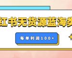 小红书无货源做蓝海类目【每单利润50-200+】，单月轻松过万【揭秘】