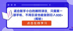 适合新手小白的搬砖项目，只需要一部手机、不用引流也能做到日入300+【揭秘】-开心分享网