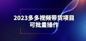 2023多多视频带货项目,可批量操作【保姆级教学】【揭秘】-开心分享网