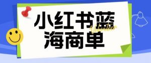 价值2980的小红书商单项目暴力起号玩法,一单收益200-300(可批量放大)-开心分享网