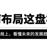 某公众号付费文章《如何布局这盘棋》在浩瀚的棋局上，看懂未来的发展趋势