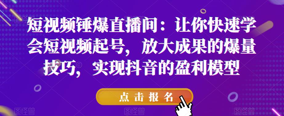 短视频锤爆直播间：让你快速学会短视频起号，放大成果的爆量技巧，实现抖音的盈利模型-开心分享网