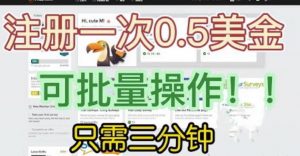 国外项目注册一次0.5美金，只需三分钟无脑操作，可批量同时放大操作，小白工作室福利【揭秘】-开心分享网