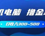 手机和电脑都可以撸金的项目，日收入300~500【揭秘】