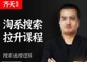 齐天电商·淘系搜索提升课程,搜索递增标准化,动销标准化流程-开心分享网