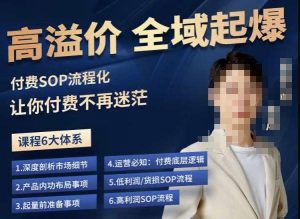 逸风-拼多多高溢价全域起爆，6大课程体系，付费玩法全套实操-开心分享网