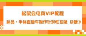松鼠会电商VIP教程：松鼠《付费推广标品·半标直通车操作针对性答疑&诊断》-开心分享网