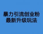 价值1980一千个野路子暴力引流最新升级玩法【揭秘】