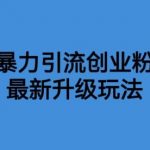 价值1980一千个野路子暴力引流最新升级玩法【揭秘】