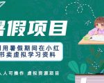 利用暑假期间在小红书卖虚拟学习资料，人人可操作的虚拟资源项目【揭秘】