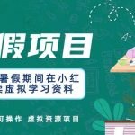 利用暑假期间在小红书卖虚拟学习资料，人人可操作的虚拟资源项目【揭秘】