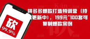 拼多多爆款打造特训营（持续更新中)，199元*100套可复制爆款案例-开心分享网