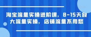 淘宝流量实操进阶课，8-15天放大流量实操，店铺流量不用愁-开心分享网