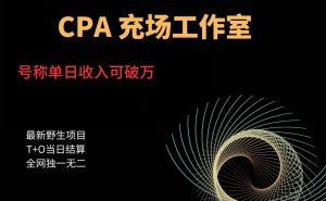 cpa充场工作室,号称单日收入10000+(揭秘)-开心分享网