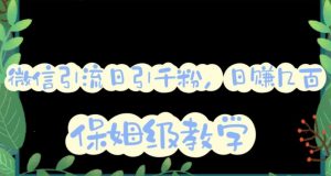 微信互推圈半自动引流方案,矩阵操作日引千人思路【详细视频教程】-开心分享网