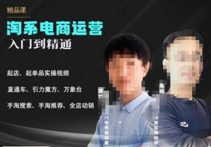2023手淘搜索实操课+体系化课程,起店起单品实操视频课程-开心分享网
