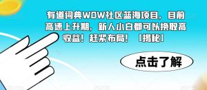 有道词典WOW社区蓝海项目,目前高速上升期,新人小白都可以换取高收益!赶紧布局!【揭秘】-开心分享网