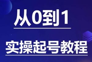 石野·小白起号实操教程,掌握各种起号的玩法技术,了解流量的核心-开心分享网