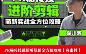 PR进阶剪辑培训班,让你快速成为剪辑大师12节视频课程+素材!-开心分享网