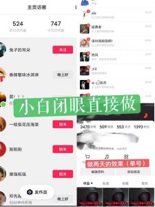 一天做完别一辈子的视频制作最近很火的《1000个野路子信息差》100%过原创【揭秘】-开心分享网