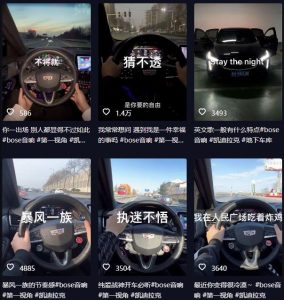 抖音开车视频项目,0基础操作,每天五分钟,月入1W+【揭秘】-开心分享网