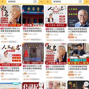 拆解小红书宝宝起名虚拟副业项目,一条龙实操玩法分享给你(教程+软件)-开心分享网