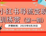 小红书导流变现营，公域导私域，适用多数平台，一线实操实战团队总结，真正实战，全是细节！