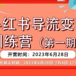 小红书导流变现营，公域导私域，适用多数平台，一线实操实战团队总结，真正实战，全是细节！