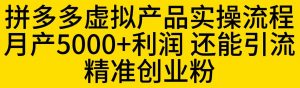 拼多多虚拟产品实操流程,月产5000+利润,还能引流精准创业粉【揭秘】-开心分享网