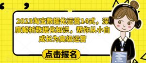 2023淘宝数据化运营14式,深度解析数据化知识,帮你从小白成长为高级运营-开心分享网