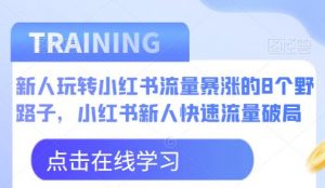 新人玩转小红书流量暴涨的8个野路子,小红书新人快速流量破局-开心分享网