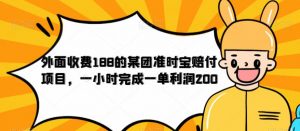 外面收费188的美团准时宝赔付项目，一小时完成一单利润200【仅揭秘】-开心分享网
