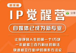 树成林·IP觉醒营,快速树立行业IP的操作方法论,让你赚到人生的第一个1万块(更新)-开心分享网