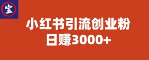 宝哥小红书引流创业粉,日赚3000+【揭秘】-开心分享网