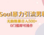 Soul暴力引流男粉玩法，无脑粗暴日入500＋，0门槛即可操作【揭秘】