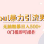 Soul暴力引流男粉玩法，无脑粗暴日入500＋，0门槛即可操作【揭秘】