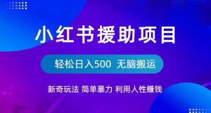 小红书援助项目新奇玩法,简单暴力,无脑搬运轻松日入500【揭秘】-开心分享网