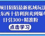 蓝海项目陌陌最新私域玩法，20 的东西十倍利润卖到爆单，日引300+精准粉，一步手机即可操作轻松实现高利润！