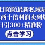 蓝海项目陌陌最新私域玩法，20 的东西十倍利润卖到爆单，日引300+精准粉，一步手机即可操作轻松实现高利润！