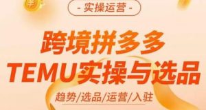 伍跃·跨境拼多多TEMU实操与选品,趋势/选品/运营/入住(27节完整)-开心分享网