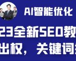 2023最新网站AI智能优化SEO教程，简单快速出权重，AI自动写文章+AI绘画配图