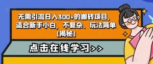 无需引流日入300+的搬砖项目,适合新手小白,不复杂、玩法简单【揭秘】-开心分享网