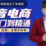 高雄哥·抖音电商从入门到精通，​从账号、流量、人货场、主播、店铺五个方面全面解析抖音电商核心逻