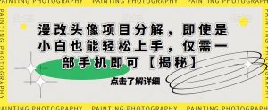 漫改头像项目分解,即使是小白也能轻松上手,仅需一部手机即可【揭秘】-开心分享网