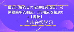 最近火爆的支付宝短视频项目,只需要简单的搬运,1万播放收益300+【揭秘】-开心分享网